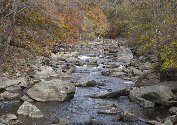 Rock Creek Park